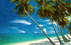 [Beach]